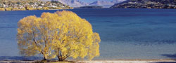 ��������� ���� � ��������������� �����