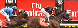 Melbourne Cup Carnival