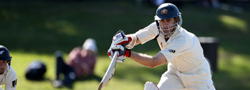 Ashes Cricket