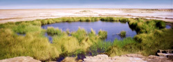 ����� ��� (Lake Eyre)