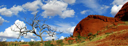 ����������� ������ (Kings Canyon)